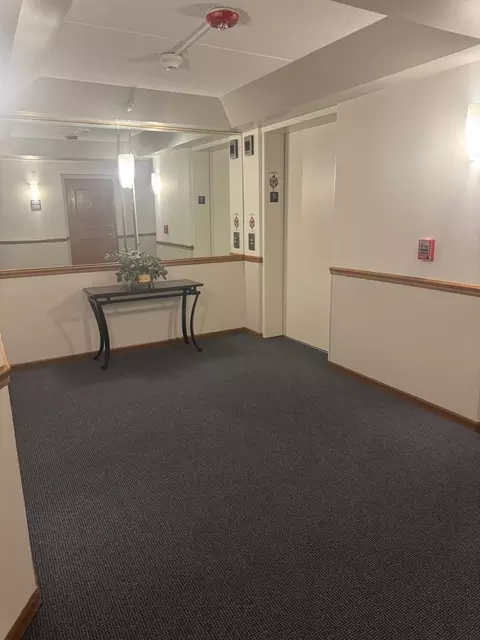 Entry Way - 1600 E Thacker St #513, Des Plaines, IL 60016 photo 2 of 2