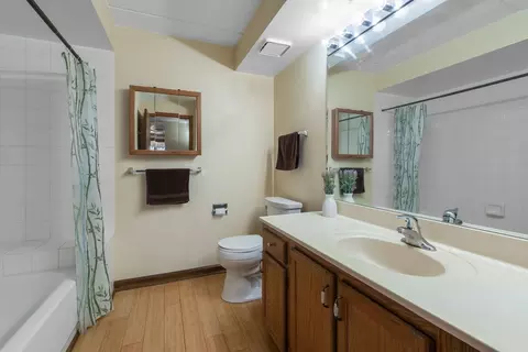 Bath - 1600 E Thacker St #513, Des Plaines, IL 60016 photo 2 of 2