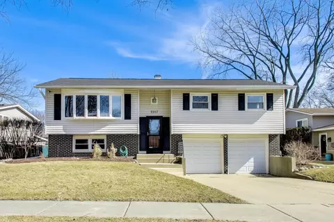 1107 N Greenfield Ln, Mount Prospect, IL 60056