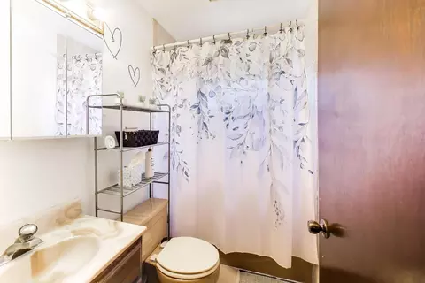 1075 Apricot St, Hoffman Estates, IL 60169 photo 16