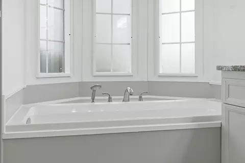 Bath - 525 Highlington Ct, Beecher, IL 60401 photo 3 of 4