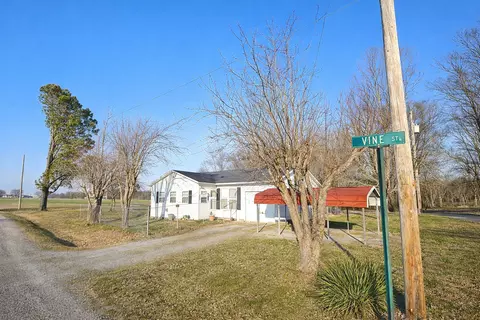 700 Vine St, Pulaski, IL 62976 photo 3