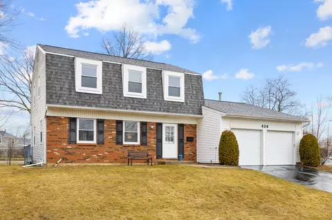 424 N Salem Dr, Schaumburg, IL 60194