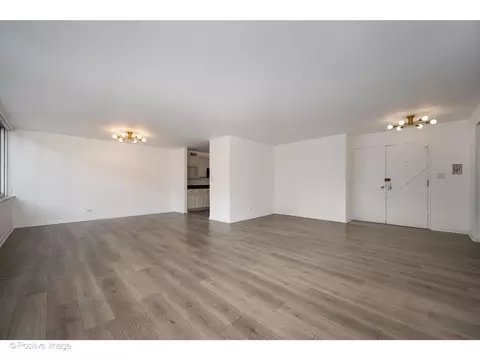 Living - 1 E Schiller St #3C, Chicago, IL 60610 photo 2 of 5