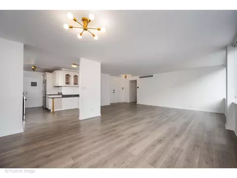 Living - 1 E Schiller St #3C, Chicago, IL 60610 photo 4 of 5