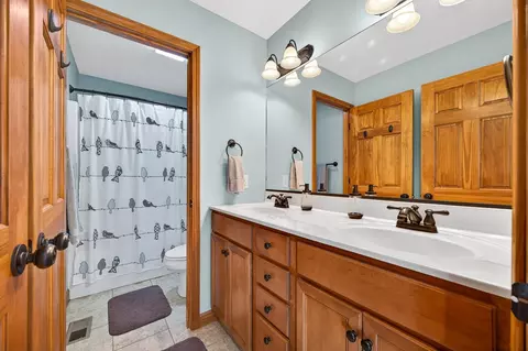 Bath - 2968 Wolf Creek Ln, Normal, IL 61761 photo 4 of 5