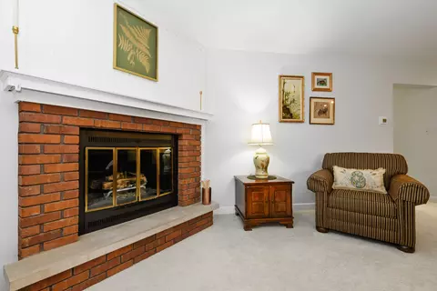 Living - 12912 Mill Dr E #E2, Palos Park, IL 60464 photo 2 of 3
