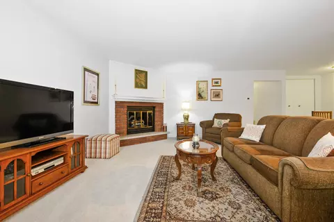 Living - 12912 Mill Dr E #E2, Palos Park, IL 60464 photo 1 of 3