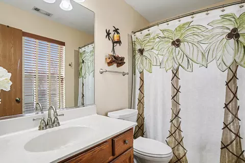 Bath - 21020 W Ardmore Cir, Plainfield, IL 60544 photo 1 of 2