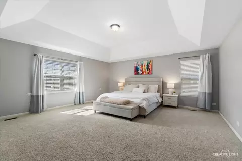 Bedroom - 436 W Amberside Dr, Elgin, IL 60124 photo 1 of 4