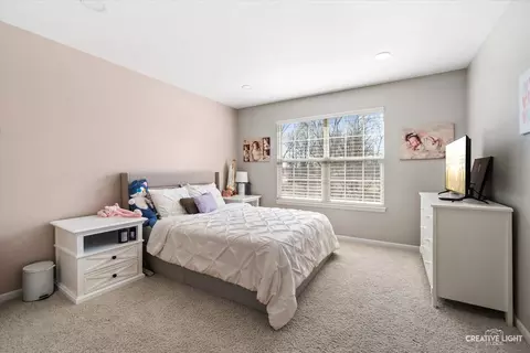 Bedroom - 436 W Amberside Dr, Elgin, IL 60124 photo 2 of 4