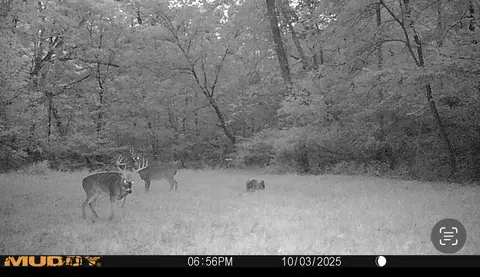 000 E 200th Ave, Mason, IL 62443 photo 22