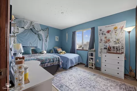 Bedroom - 25164 S Plainview Dr, Channahon, IL 60410 photo 3 of 4