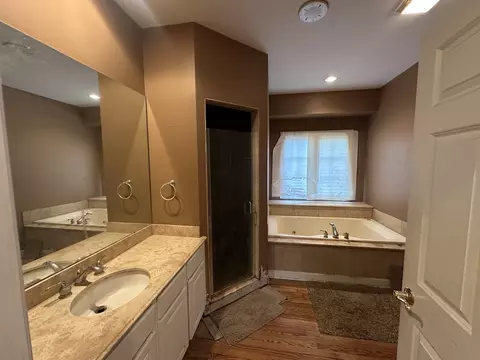 Bath - 327 Royal Oak Dr, Steger, IL 60475 photo 2 of 5
