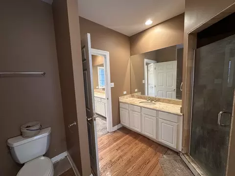 Bath - 327 Royal Oak Dr, Steger, IL 60475 photo 3 of 5