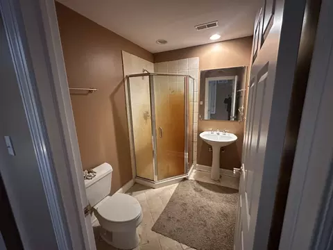 Bath - 327 Royal Oak Dr, Steger, IL 60475 photo 5 of 5