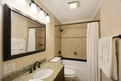 Bath - 1281 Old Timber Ct, Hoffman Estates, IL 60192 photo 2 of 3