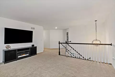 15124 Emerson St, Plainfield, IL 60544 photo 20