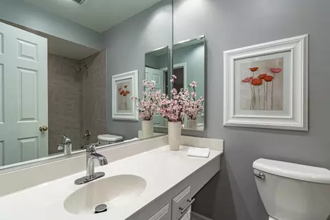 Bath - 1265 Devonshire Rd, Buffalo Grove, IL 60089 photo 4 of 4