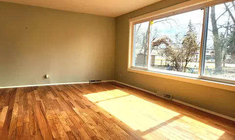 Living - 17322 Forestway Dr, East Hazel Crest, IL 60429 photo 2 of 2