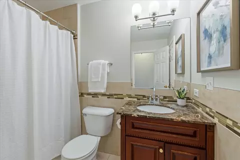 Bath - 1294 Hunters Rdg E, Hoffman Estates, IL 60192 photo 4 of 5