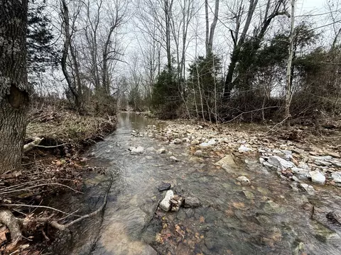 View/Area - 147 Hazel Rd, Simpson, IL 62985 photo 5 of 8