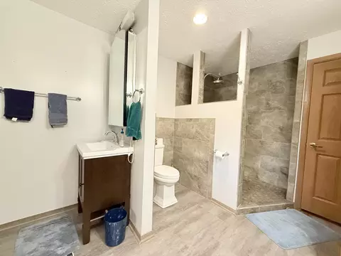 Bath - 147 Hazel Rd, Simpson, IL 62985 photo 3 of 4