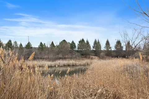 View/Area - 1135 Reserve Dr, Elgin, IL 60124 photo 1 of 2