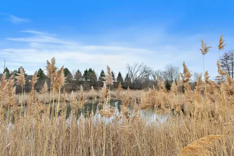 View/Area - 1135 Reserve Dr, Elgin, IL 60124 photo 2 of 2