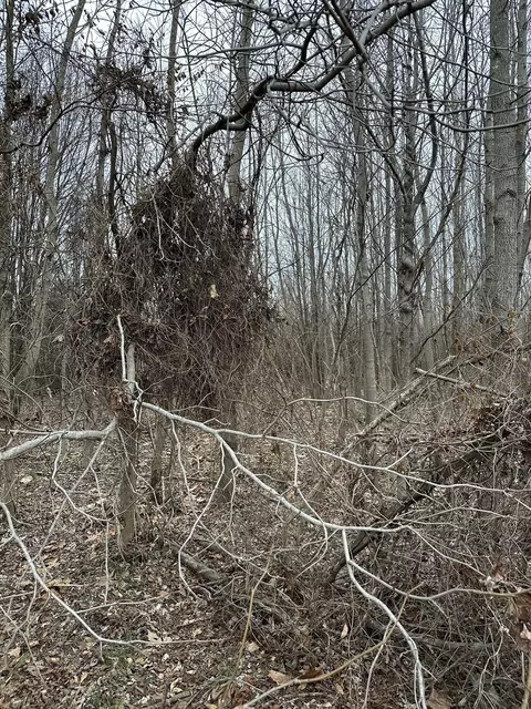lot1 Pecan Rd, Duquoin, IL 62832
