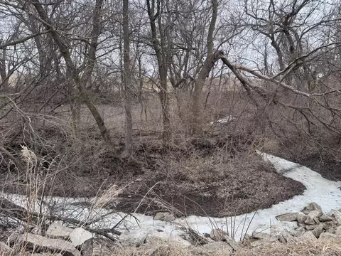 0 Shaw Rd, Compton, IL 61318 photo 12