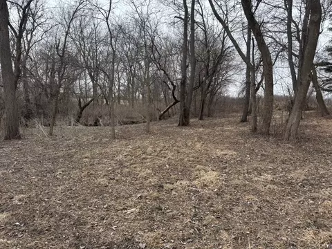 0 Shaw Rd, Compton, IL 61318 photo 4