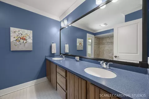 Bath - 320 Oakwood Ct, Wheaton, IL 60189 photo 4 of 6