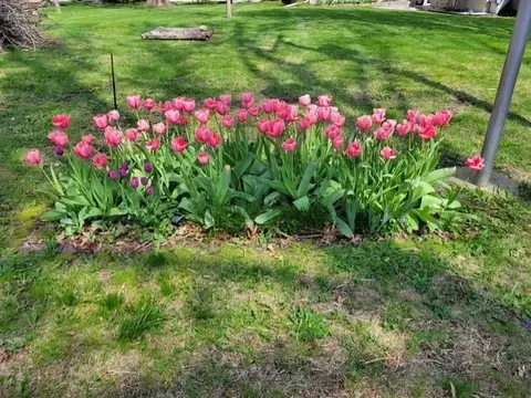 Other - 425 E Dakota St, Spring Valley, IL 61362 photo 6 of 6