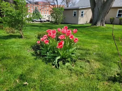 Exterior - 425 E Dakota St, Spring Valley, IL 61362 photo 7 of 8