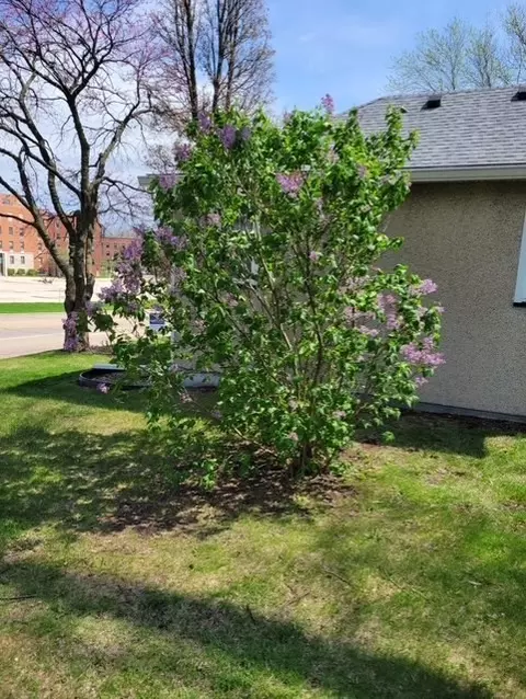 Exterior - 425 E Dakota St, Spring Valley, IL 61362 photo 8 of 8