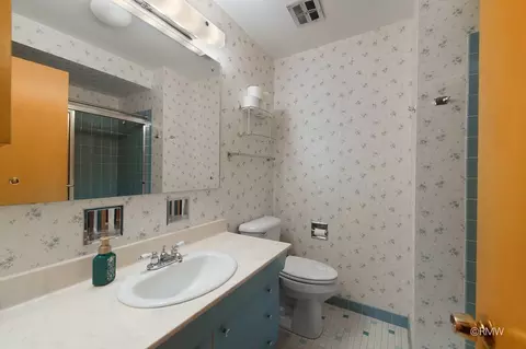 Bath - 910 S Robert Dr, Mount Prospect, IL 60056 photo 2 of 2
