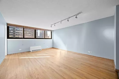 Living - 30 E Division St #14C, Chicago, IL 60610 photo 2 of 4