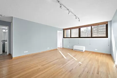 Living - 30 E Division St #14C, Chicago, IL 60610 photo 3 of 4