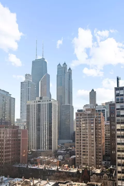 View/Area - 30 E Division St #14C, Chicago, IL 60610 photo 1 of 1