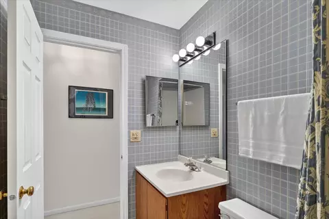 Bath - 217 New Bridge Ct, Palatine, IL 60067 photo 3 of 5