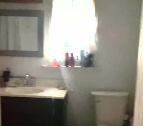 Bath - 6062 S 74th Ct, Summit, IL 60501 photo 1 of 1