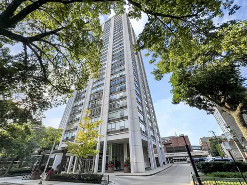 70 W Burton Pl #301F, Chicago, IL 60610