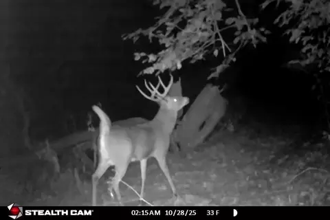 Other - 20798 White Oaks Rd, Morrison, IL 61270 photo 10 of 11