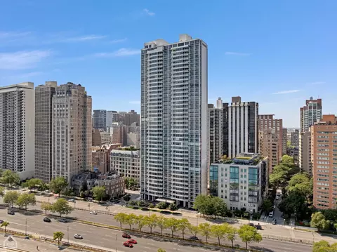 1300 N Lake Shore Dr #8BC, Chicago, IL 60610