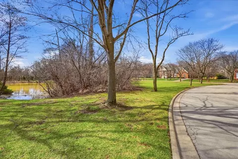 9045 Turnberry Dr, Burr Ridge, IL 60527 photo 5