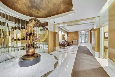 Entry Way - 111 E Chestnut St #37K, Chicago, IL 60611 photo 3 of 3