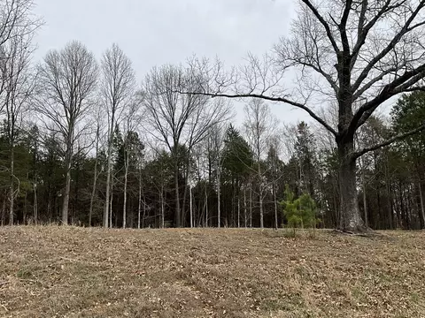 305 Pecan Pt, Goreville, IL 62939