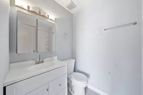 Bath - 5 E Carriageway Dr #308, Hazel Crest, IL 60429 photo 3 of 4