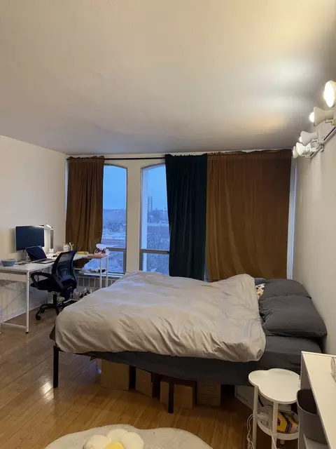 Bedroom - 1450 E 55th Pl #720S, Chicago, IL 60637 photo 4 of 5